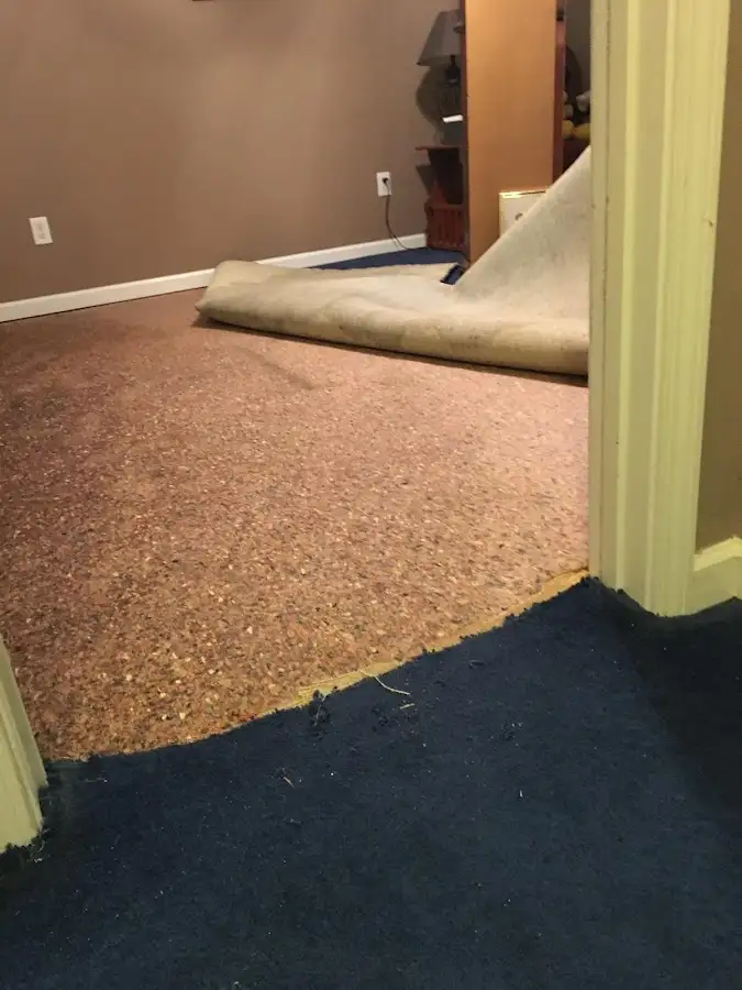Carpet pad removal revealing water damage during Drying & Dehumidification in Fultondale