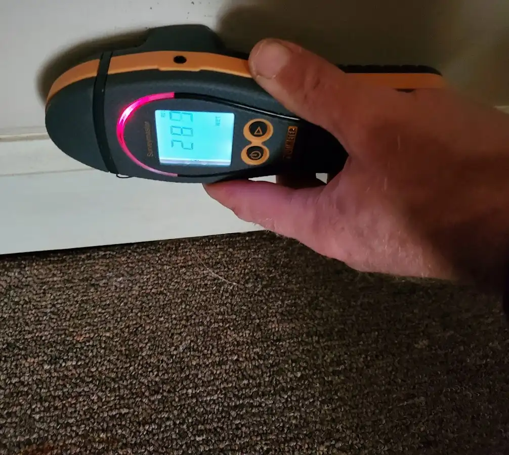 Moisture detection at baseboard during Sewage Cleanup & Sanitation in Fultondale